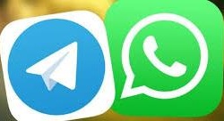 ارسال جواب با تلگرام و واتس اپ